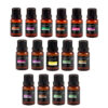 Essência para Ambiente Linha Essencial Fragrance 17 ml Feitiços Aromáticos