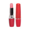 Lipstick Vibe Vibrador em Formato de Batom Vibração Unica Sexy Import