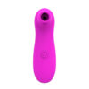 6756-Pink_1 Estimulador Clitoriano com 7 Modos de Pulsação Sexy Import