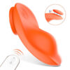 Leaf Vibrador de Calcinha com 9 Modos de Vibração e Controle Remoto Sexy Import