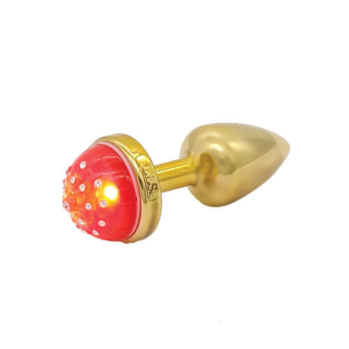 Plug Anal Less com Led Hard