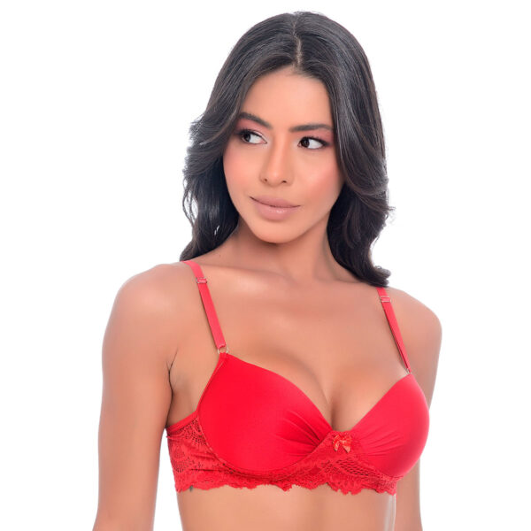 J22024-M-Vermelho_4 Conjunto Fio Duplo Microfibra com Bojo e Detalhes em Renda Jô Lingerie