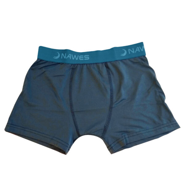 N06-P-Azul_1 Cueca Boxer Adulto em Microfibra Nawes