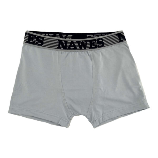 N06-P-Cinza_1 Cueca Boxer Adulto em Microfibra Nawes