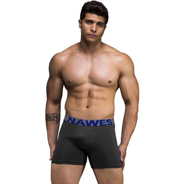 N22-EG1-Grafite_1 Cueca Boxer Adulta Básica em Cotton Plus Size Nawes