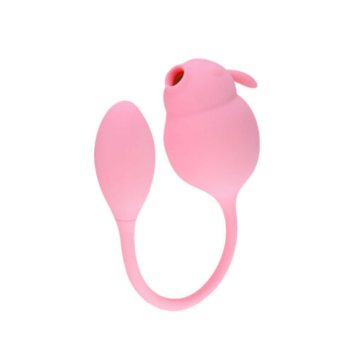 VR-048-Rosa-Claro_1 Vibrador Duplo Formato Coelho e Penetrador Controle Via App 3R Import
