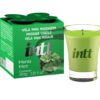Vela para Massagem Beijável Menta 40g Intt